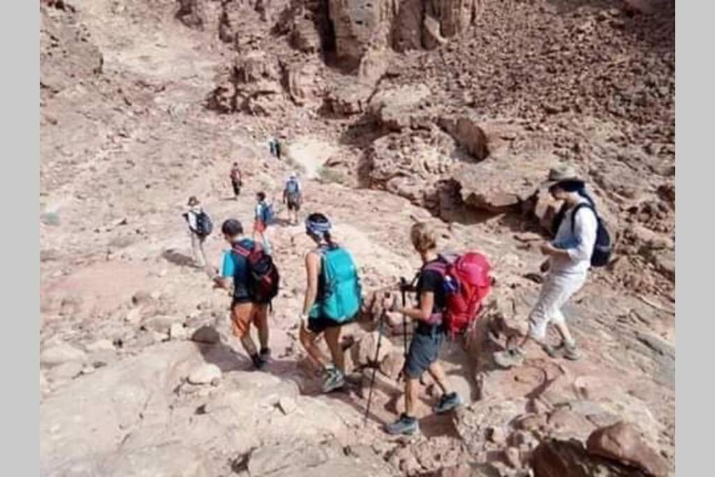 Bedouin Nature Travels Wadi Musa Zewnętrze zdjęcie