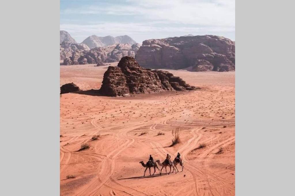 Bedouin Nature Travels Wadi Musa Zewnętrze zdjęcie