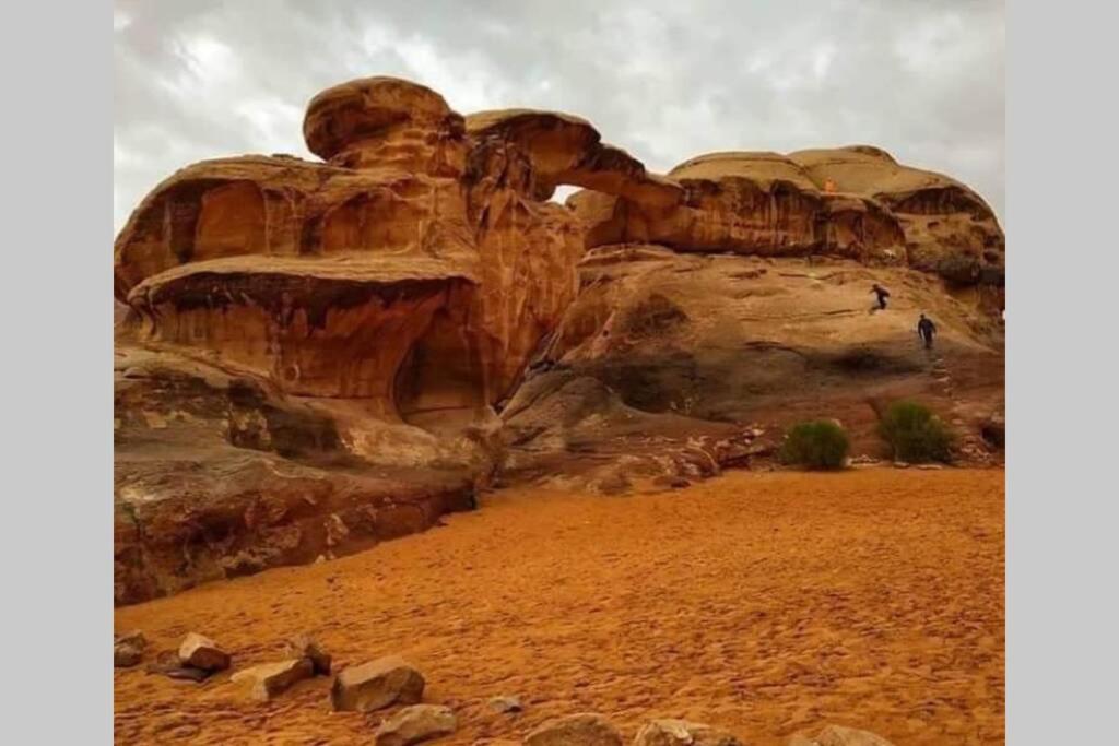 Bedouin Nature Travels Wadi Musa Zewnętrze zdjęcie