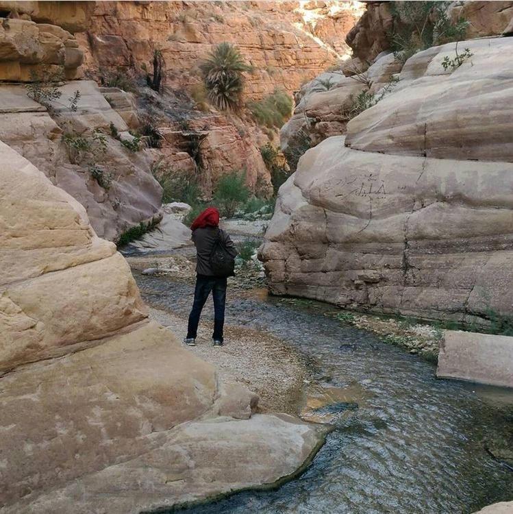 Bedouin Nature Travels Wadi Musa Zewnętrze zdjęcie