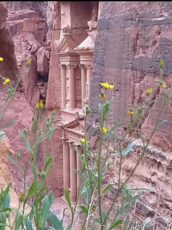 Bedouin Nature Travels Wadi Musa Zewnętrze zdjęcie