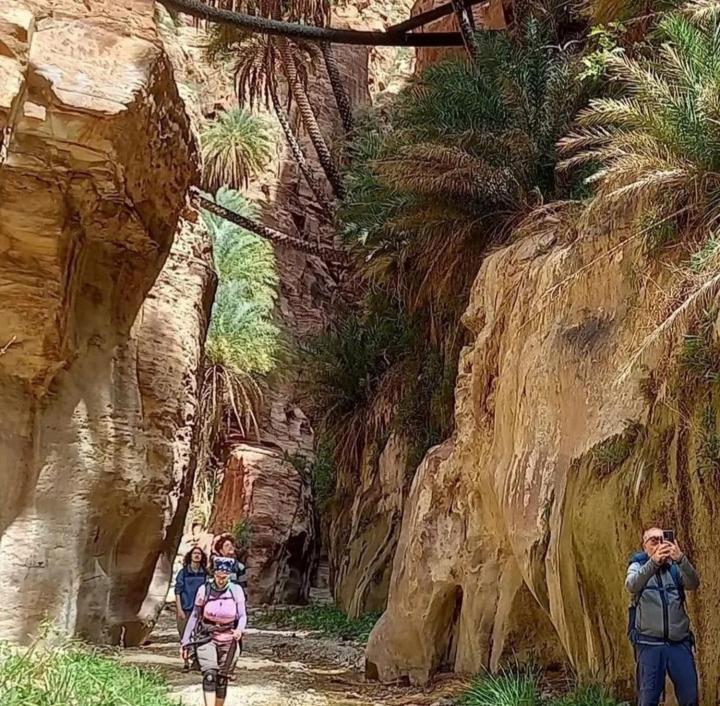 Bedouin Nature Travels Wadi Musa Zewnętrze zdjęcie